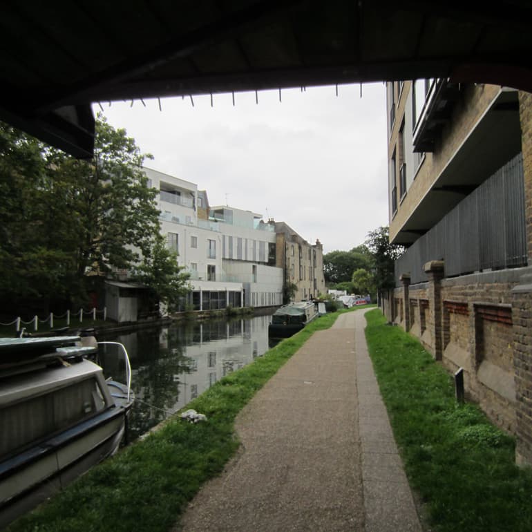The flora, viewed from the Grand Union Canal footpath